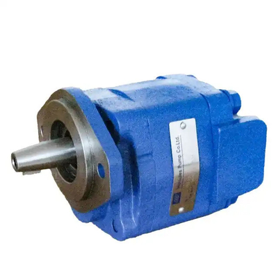 Moteur à engrenages hydrauliques M30 M31 M50 M51 M75 M76 M315 M330 M350 M365 pour la norme commerciale Parker