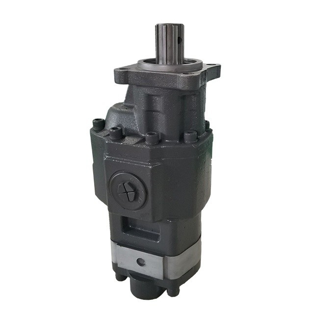 Pompes à engrenages hydrauliques standard CbhsN17-80 pour camions à décharges en performance noire