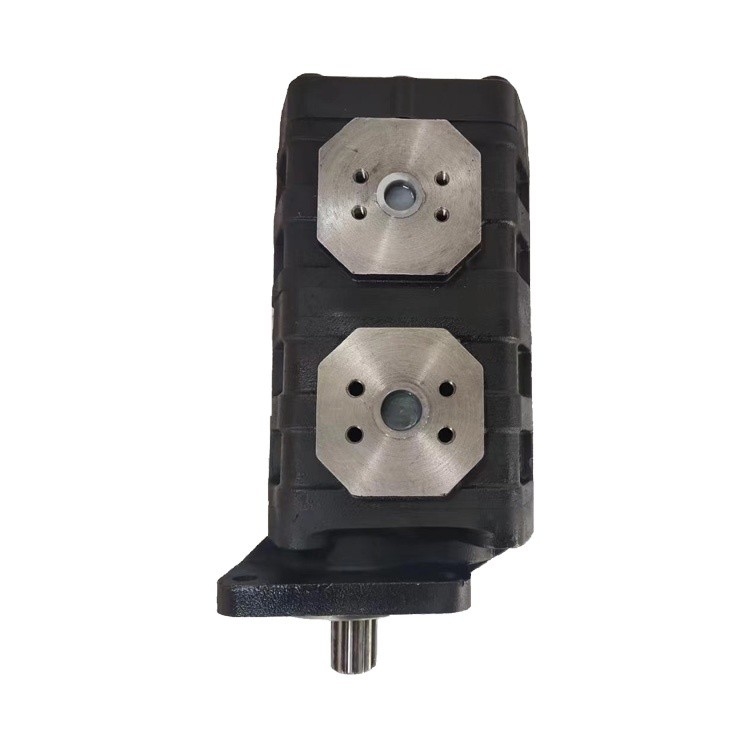 Pompes hydrauliques en acier coulé standard Cbgj2063/2050R Déplacement 63 Ml/R Pompes à engrenages de série